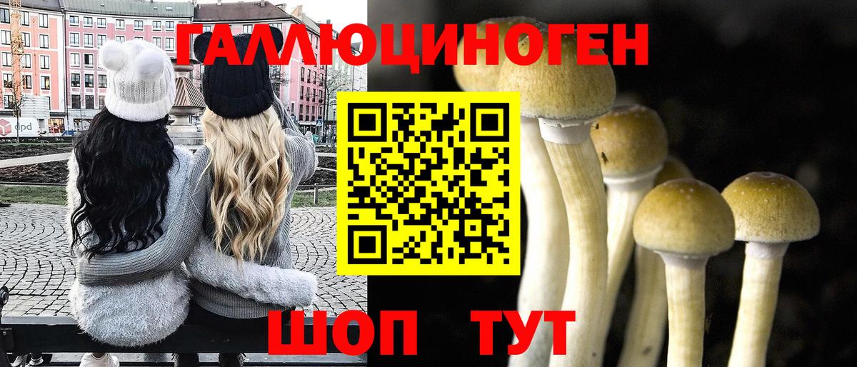 Псилоцибиновые грибы GOLDEN TEACHER Воскресенск